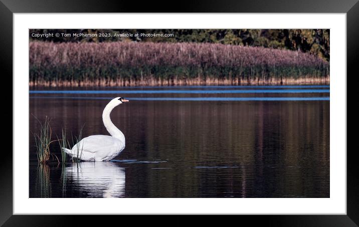 "Elegance on the Loch" Framed Mounted Print by Tom McPherson