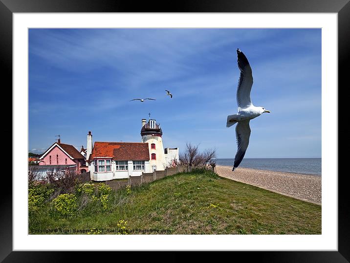 Old Windmill at Thorpness Framed Mounted Print by Nigel Bangert
