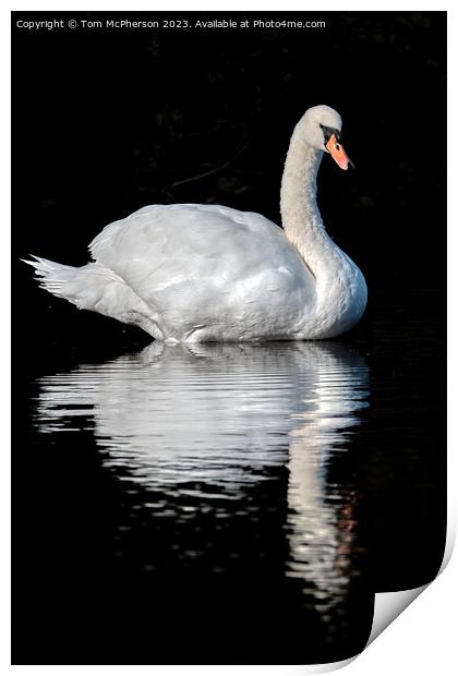 Graceful Swan Gliding Through Serene Waters Print by Tom McPherson