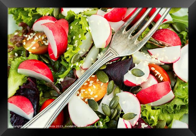 Light spring salad with vegetables and greens. Framed Print by Mykola Lunov Mykola