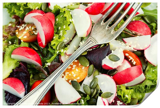 Light spring salad with vegetables and greens. Print by Mykola Lunov Mykola