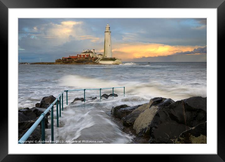 Evening at St Mary's Lighthouse Framed Mounted Print by Andrew Ray