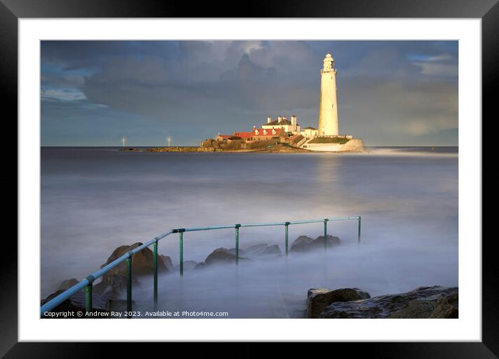 St Mary's Lighthouse at high tide Framed Mounted Print by Andrew Ray