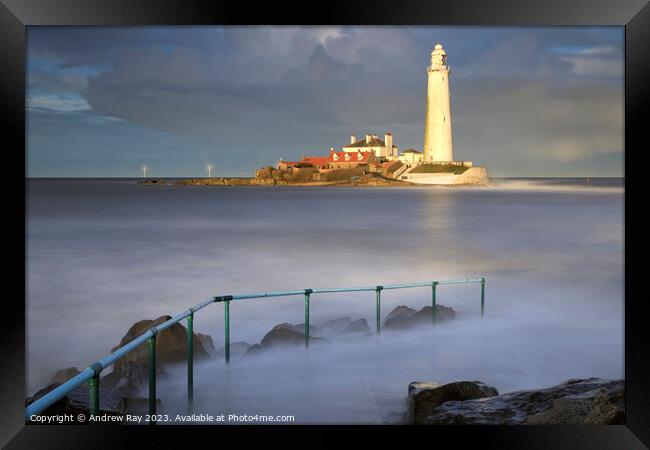 St Mary's Lighthouse at high tide Framed Print by Andrew Ray