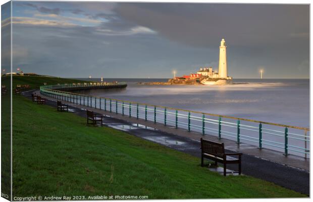 St Mary's Lighthouse view. Canvas Print by Andrew Ray