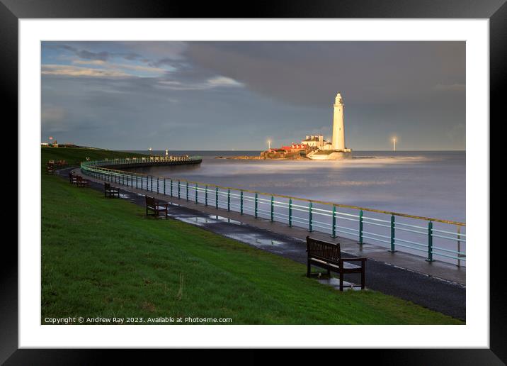 St Mary's Lighthouse view. Framed Mounted Print by Andrew Ray