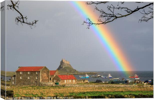 Rainbow over Lindisfarne Castle Canvas Print by Andrew Ray