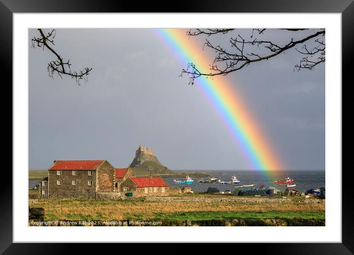 Rainbow over Lindisfarne Castle Framed Mounted Print by Andrew Ray
