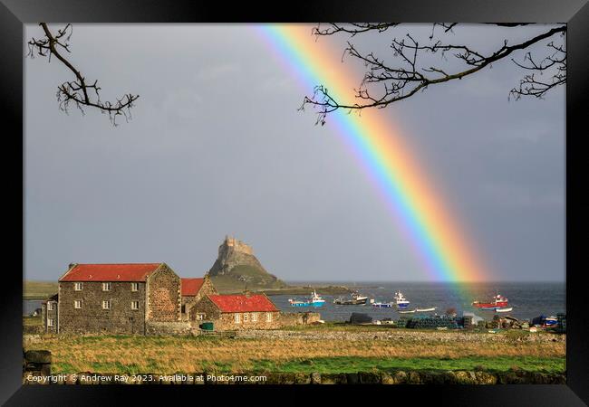 Rainbow over Lindisfarne Castle Framed Print by Andrew Ray