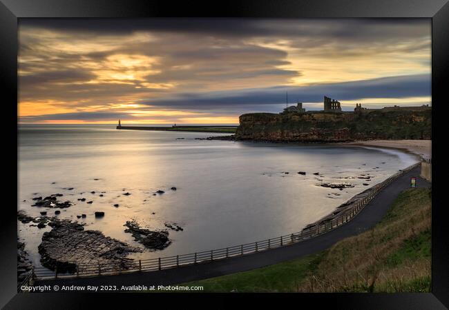 Tynemouth Framed Print by Andrew Ray