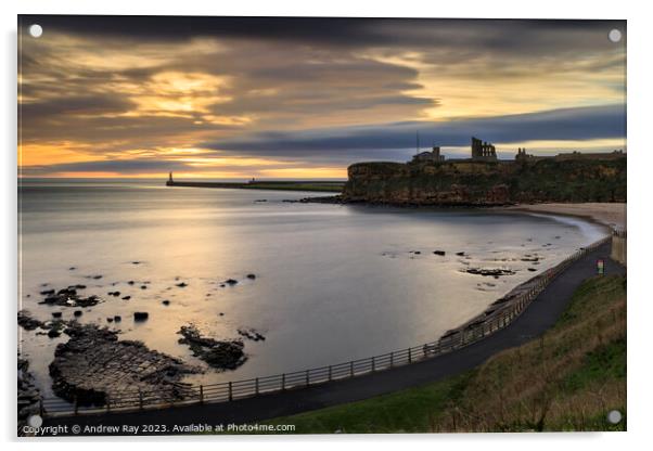 Tynemouth Acrylic by Andrew Ray