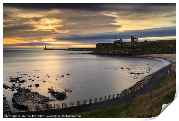 Tynemouth Print by Andrew Ray