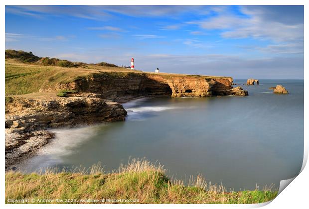 Towards Souter Lighthouse Print by Andrew Ray