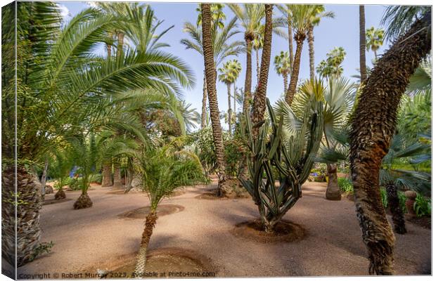 Desert plants in Jardin Marjorelle, Marrakech. Canvas Print by Robert Murray