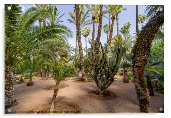 Desert plants in Jardin Marjorelle, Marrakech. Acrylic by Robert Murray