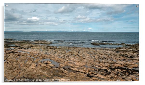 Serene Seascape on Moray Firth Acrylic by Tom McPherson