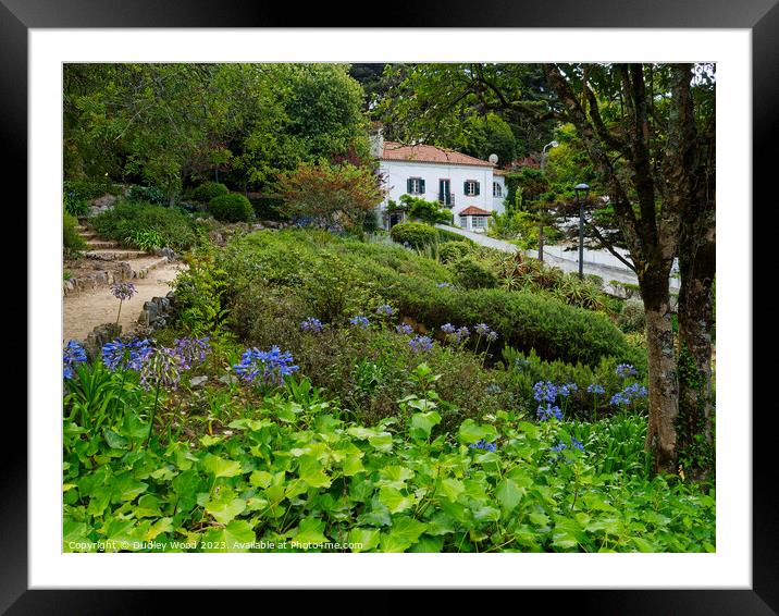Secluded  house Sintra Framed Mounted Print by Dudley Wood