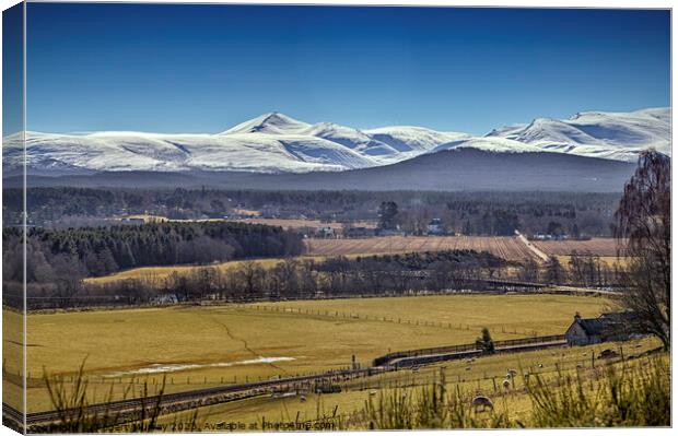 Abernethy and the Cairngorm Mountains Canvas Print by Robert Murray