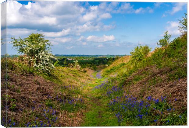 Bluebells by the path on Old Oswestry hill fort in Canvas Print by Steve Heap