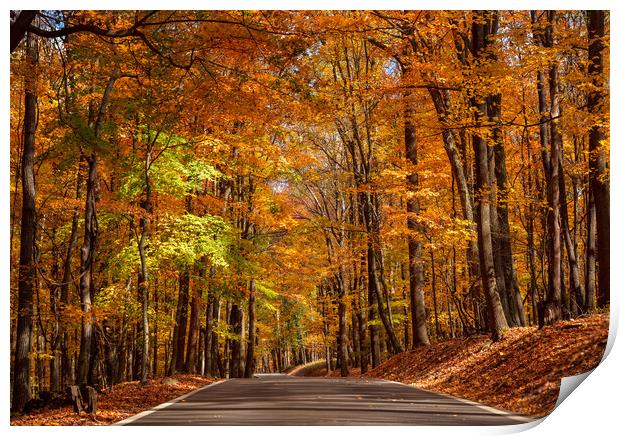Road leading to Coopers Rock state park Print by Steve Heap