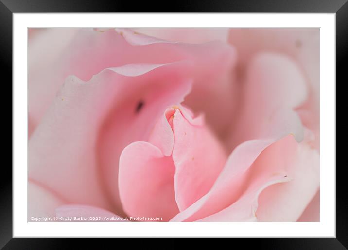 Macro Rose Framed Mounted Print by Kirsty Barber