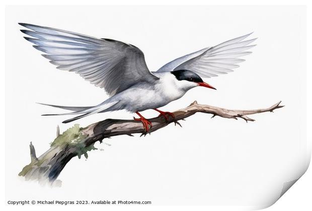 Watercolor painted common tern on a white background. Print by Michael Piepgras