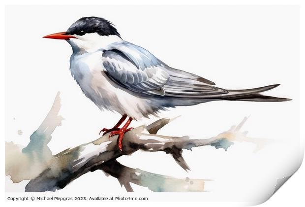 Watercolor painted common tern on a white background. Print by Michael Piepgras