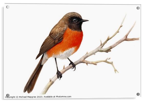 Watercolor painted garden redstart on a white background. Acrylic by Michael Piepgras