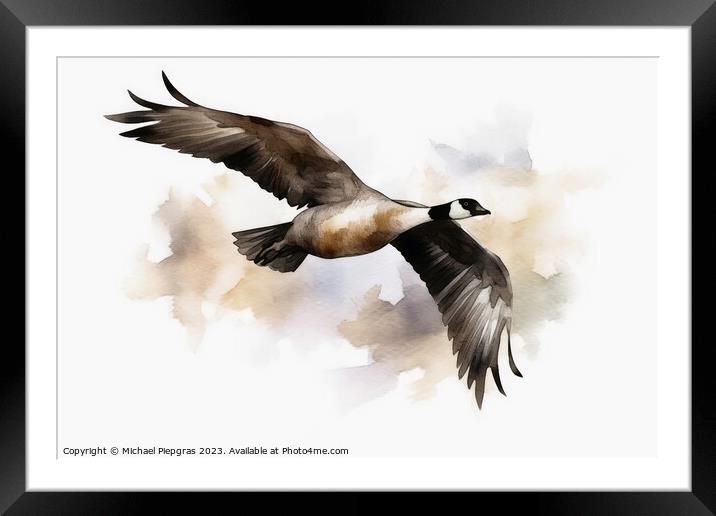 Watercolor painted canadian goose on a white background. Framed Mounted Print by Michael Piepgras