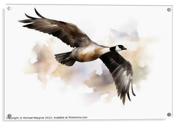 Watercolor painted canadian goose on a white background. Acrylic by Michael Piepgras