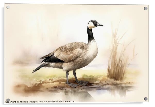 Watercolor painted canadian goose on a white background. Acrylic by Michael Piepgras