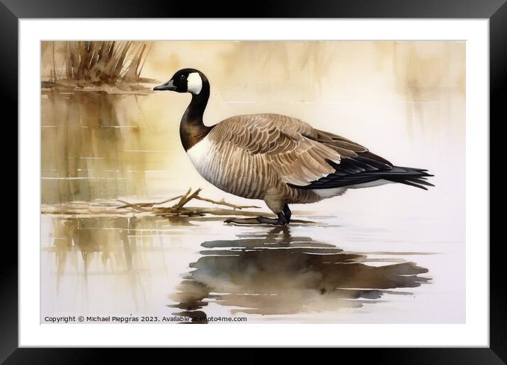 Watercolor painted canadian goose on a white background. Framed Mounted Print by Michael Piepgras