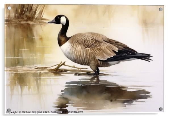 Watercolor painted canadian goose on a white background. Acrylic by Michael Piepgras