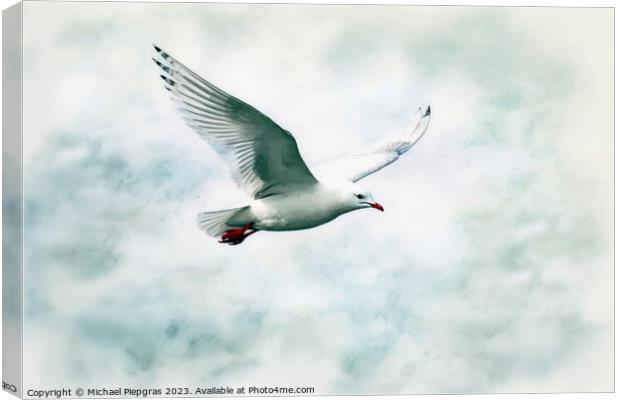 Watercolor painted silver gull on a white background. Canvas Print by Michael Piepgras