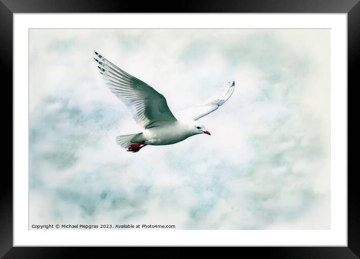 Watercolor painted silver gull on a white background. Framed Mounted Print by Michael Piepgras