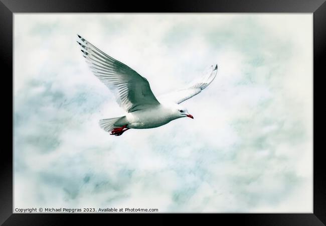 Watercolor painted silver gull on a white background. Framed Print by Michael Piepgras