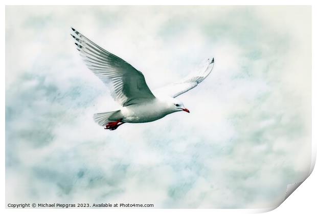 Watercolor painted silver gull on a white background. Print by Michael Piepgras