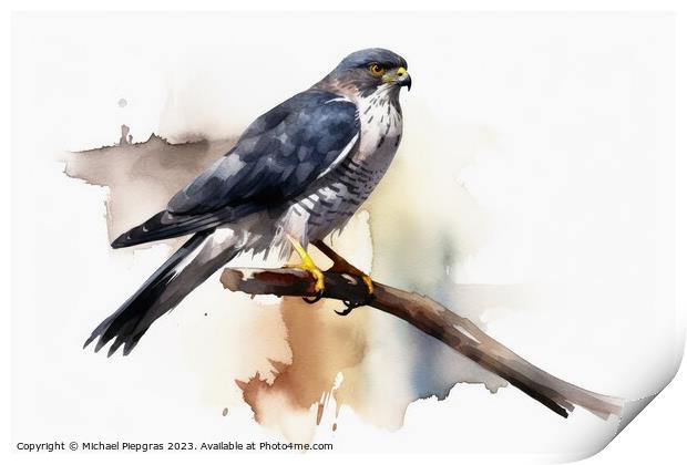 Watercolor painted sparrowhawk on a white background. Print by Michael Piepgras
