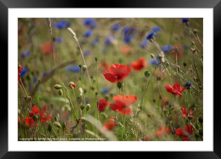 Vibrant Coquelicot: A Captivating Corn Poppy Framed Mounted Print by Simon Johnson