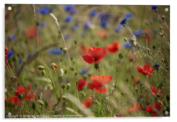 Vibrant Coquelicot: A Captivating Corn Poppy Acrylic by Simon Johnson