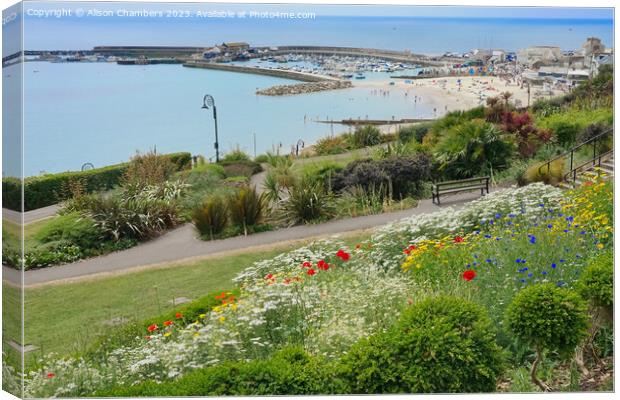 Lyme Regis Dorset Canvas Print by Alison Chambers