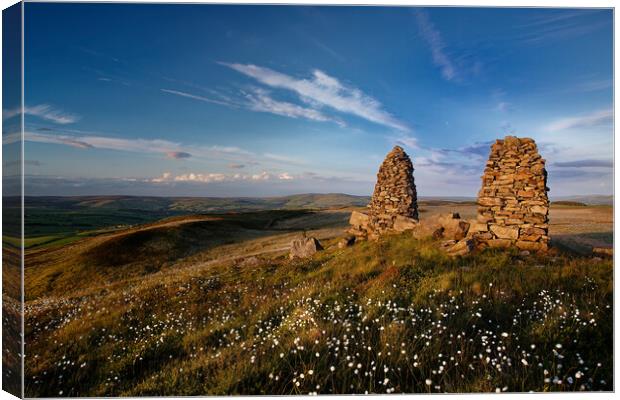 Towering Beauty in Yorkshire's Countryside Canvas Print by Jim Round