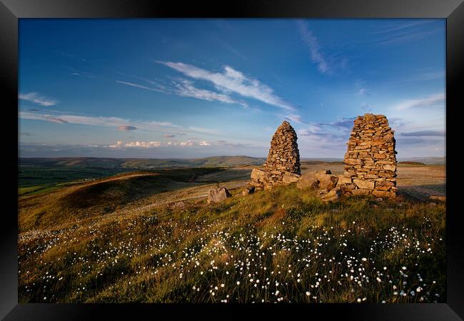 Towering Beauty in Yorkshire's Countryside Framed Print by Jim Round