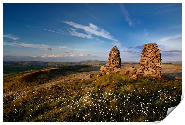 Towering Beauty in Yorkshire's Countryside Print by Jim Round