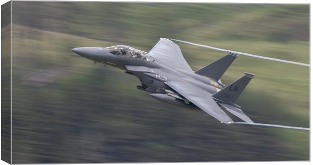F15 chilled out WSO Canvas Print by Rory Trappe