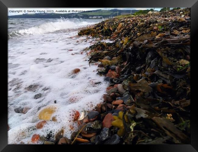 "Whispers of the Sea" Framed Print by Sandy Young