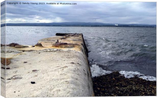 The old Pier at  Chanonry Point Canvas Print by Sandy Young