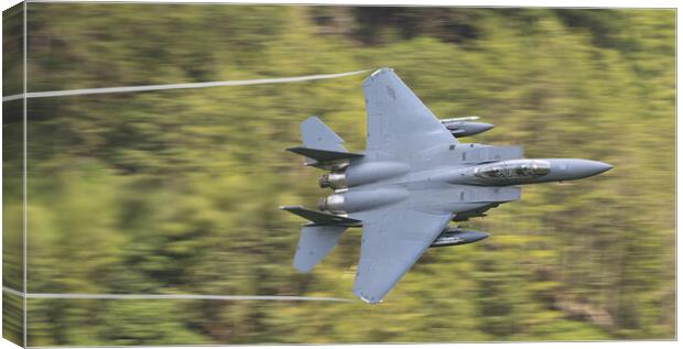 F15 Strike Eagle Canvas Print by Rory Trappe