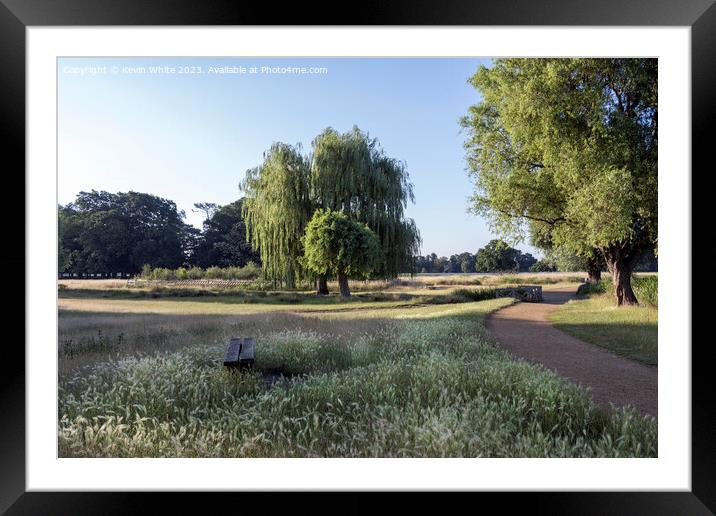 Cycle and walking path mid summer at Bushy Park in Surrey Framed Mounted Print by Kevin White