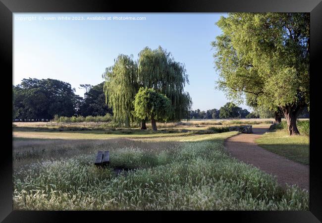 Cycle and walking path mid summer at Bushy Park in Surrey Framed Print by Kevin White